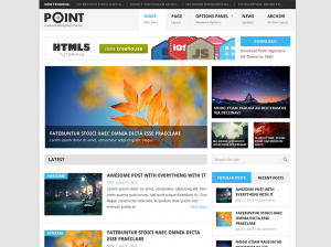 point wordpress theme